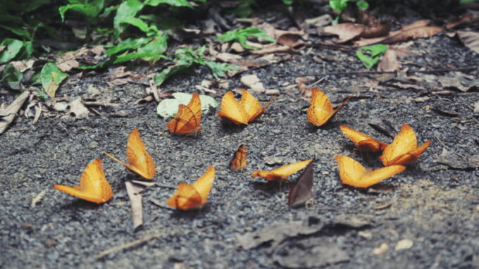 Cuc Phuong National Park Hiking Tour - Cultural Significance