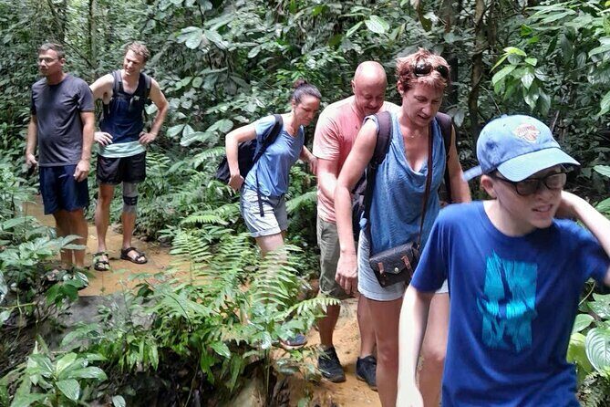 CUC Phuong National Park One Day Small Group - The Sum Up
