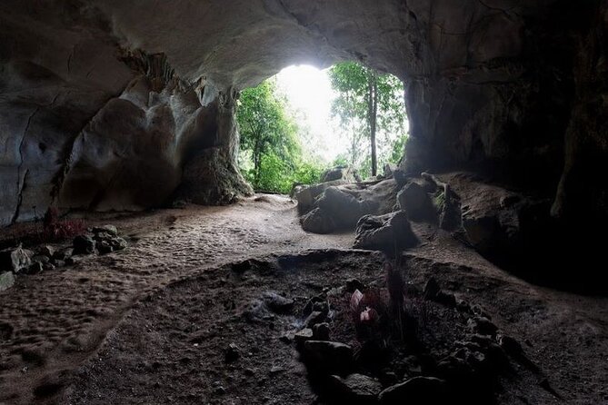 Cuc Phuong National Park Private Day Tour: Trekking & Primates - Transportation and Logistics