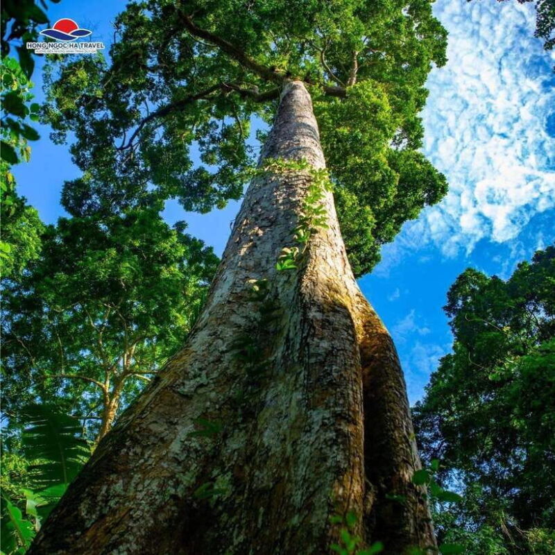 Cuc Phuong National Park Private Tour From Hanoi Old Quarter - Activities and Attractions