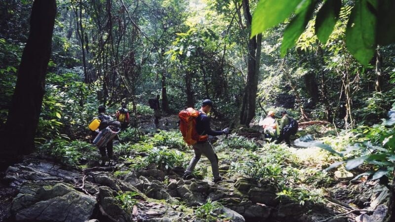 Cuc Phuong National Park: Trek & Camp in Jungle 2 Days - Itinerary Highlights