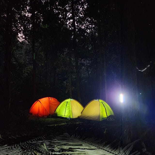 Cuc Phuong National Park: Trek & Camp in Jungle 2 Days - Trekking and Camping Experience
