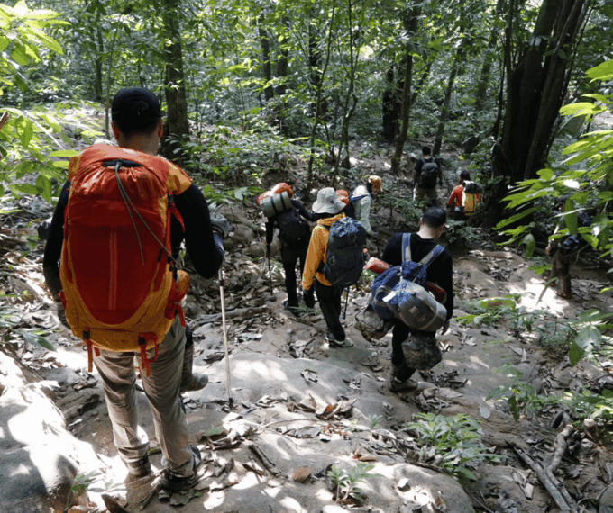 Cuc Phuong National Park: Trek & Camp in Jungle 2 Days - Meeting Point and Restrictions