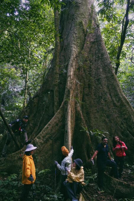 Cuc Phuong National Park: Trek & Camp in Jungle 2 Days - Suitability and Preparation