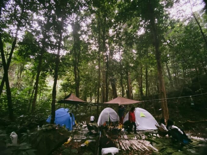 Cuc Phuong National Park: Trek & Camp in Jungle 2 Days - Booking and Cancellation Policy