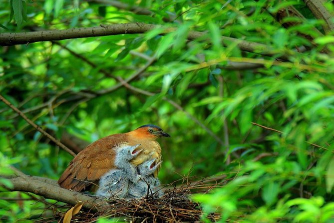 Cuc Phuong National Park Trekking Day Trip - Key Points