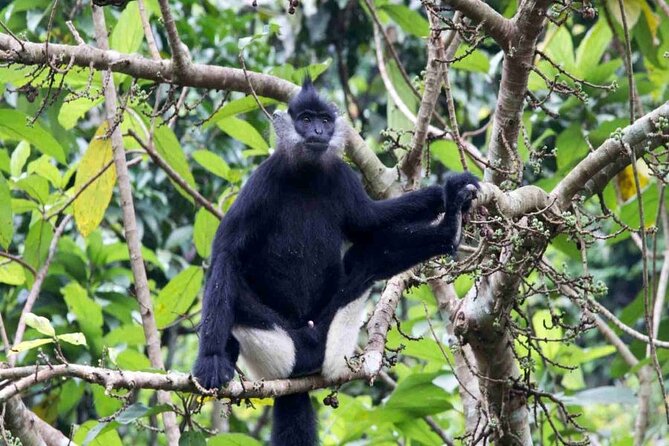 Cuc Phuong National Park Trekking: Private Day Tour From Hanoi - Tour Inclusions