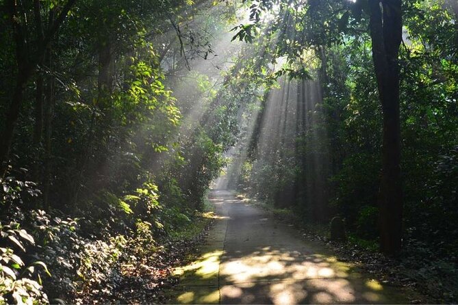 Cuc Phuong National Park Trekking: Private Day Tour From Hanoi - Physical Fitness Required