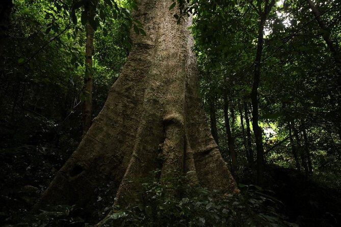 Cuc Phuong National Park Trekking: Private Day Tour From Hanoi - Additional Information