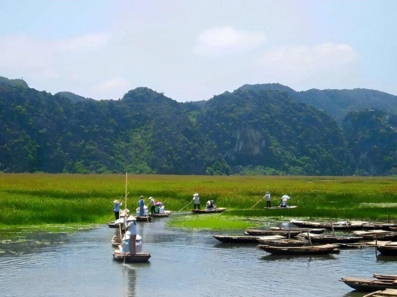 CUC PHUONG NATIONAL PARK - VAN LONG DAI LY TOUR DAY TRIP - Key Points