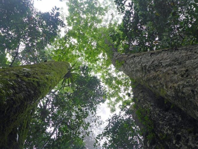CUC PHUONG NATIONAL PARK - VAN LONG DAI LY TOUR DAY TRIP - Frequently Asked Questions