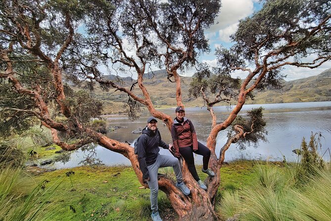Cuenca to Guayaquil One-Way Tour With Cajas Park and a Cacao Farm Visit - Tour Overview