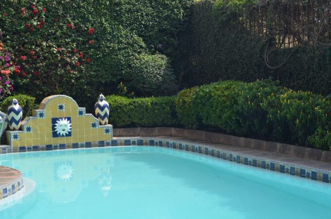 Cuernavaca: Robert Brady Museum Guided Tour - Guided Experience