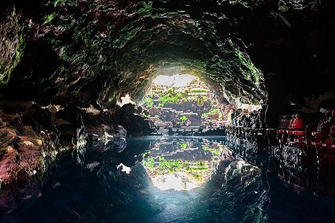 Cueva Verdes & Jameos Agua - Northern Treasures Lanzarote - Aloe Vera Plantation