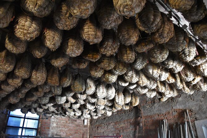 Culatello and Parmigiano: Private Half-Day Tour in Parma - Meeting and Pickup
