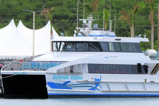 Culebra Beach Day Tour With Snorkeling From San Juan by Ferry - Health and Accessibility Considerations