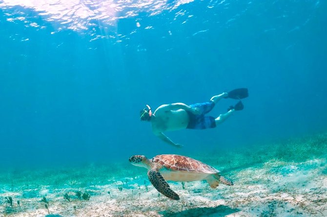 Culebra Island Snorkel and Turtle Adventure With Ferry Transport - Meeting Point and Additional Information