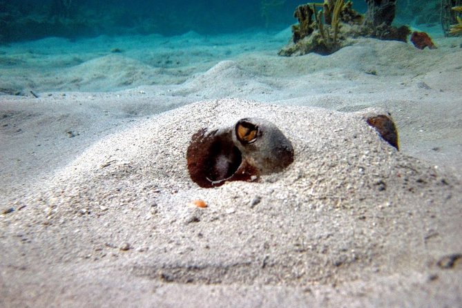 Culebra Island Snorkel and Turtle Adventure With Ferry Transport - Exploring Culebra Island
