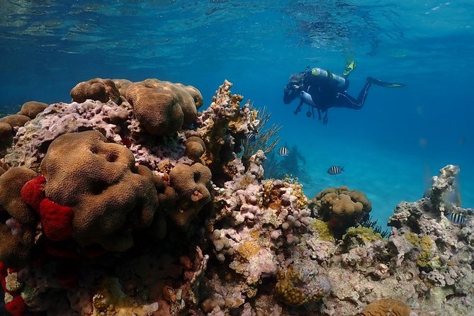 Culebra Snorkeling Day Experience - Safety and Accessibility
