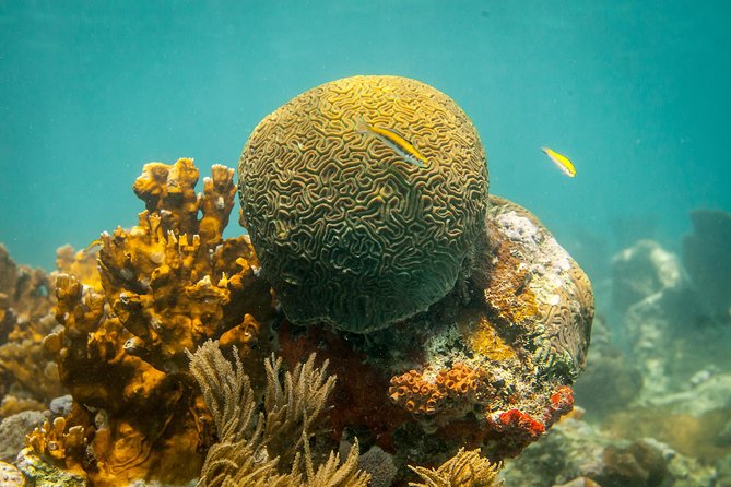 Culebra Snorkeling Tour by Catamaran From Fajardo - Pricing and Booking