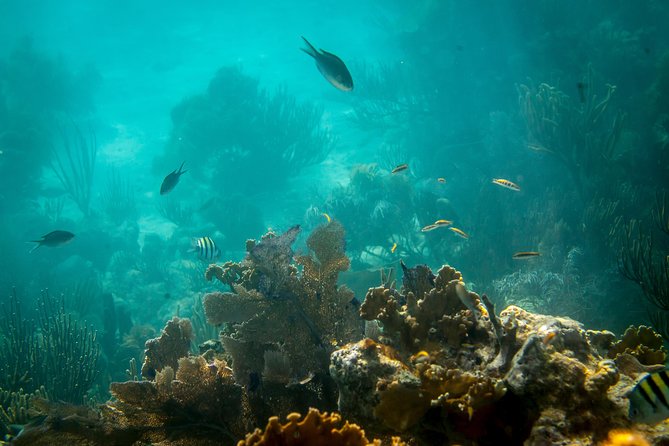 Culebra Snorkeling Tour by Catamaran From Fajardo - Departure and Cruise