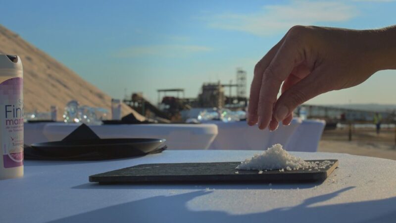 Culinary Demonstration With Gourmet Tasting in the Pink Lake - Guided Tour of the Pink Lake