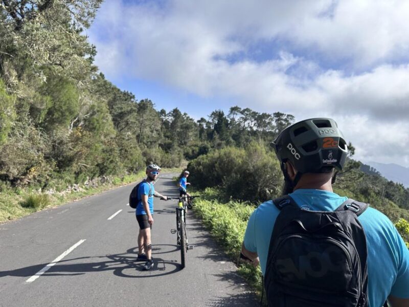 CULINARY FOOD & (E) BIKE TOUR - Included Services