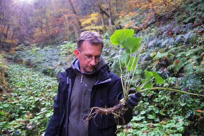 Cultivate Organic WASABI - Exploring the Hikimi Wasabi Fields