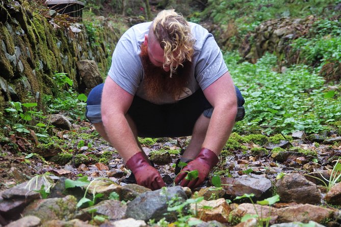Cultivate Organic WASABI - Preparing for the Wasabi Adventure