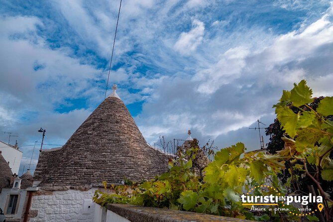 Cultural and Gastronomic Tour in Alberobello - Experience Highlights