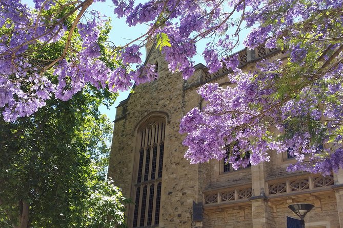 Cultural Caper Adelaide Walking Tour - Additional Information