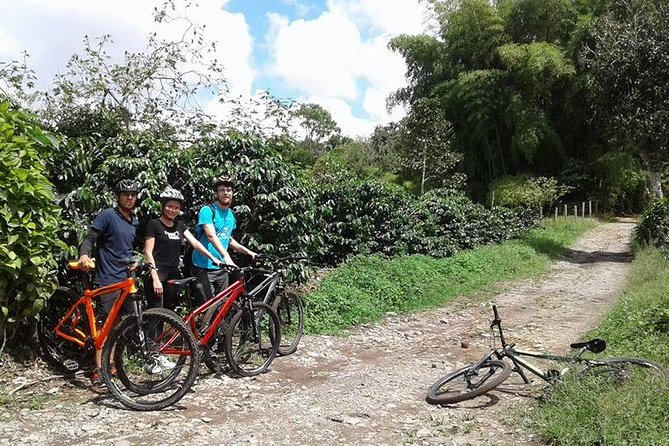 Cultural Coffee Bike Tour - Fruit Tasting Finale