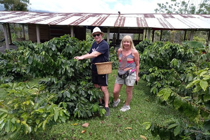 Cultural: Coffee & Chocolate Tour+Animal Sanctuary+Waterfall Swim - Waterfall Adventure