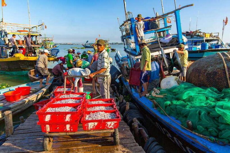 Cultural Cruise Discover Hoi Ans Treasure & Rhum Production - Visit Duy Hai Fish Market and Interact With Local Fishermen