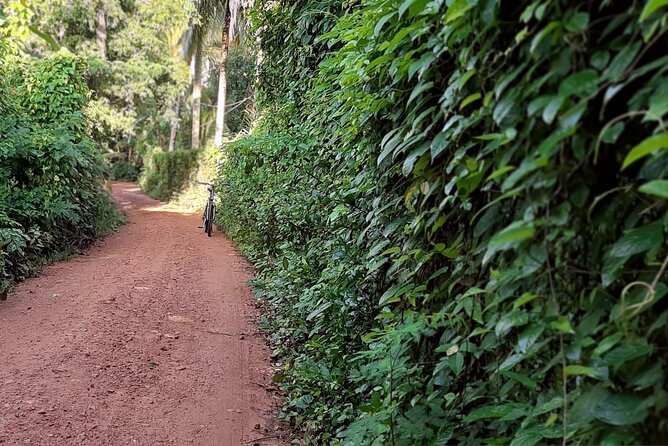Cultural Cycling Tour - Half Day (8:00-11:30) - Tour Highlights