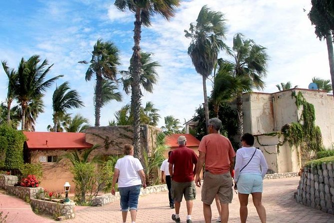Cultural & Ecology, Nature & History of the Hidden Towns of Southern Baja! - Buena Vista: Thermal Springs