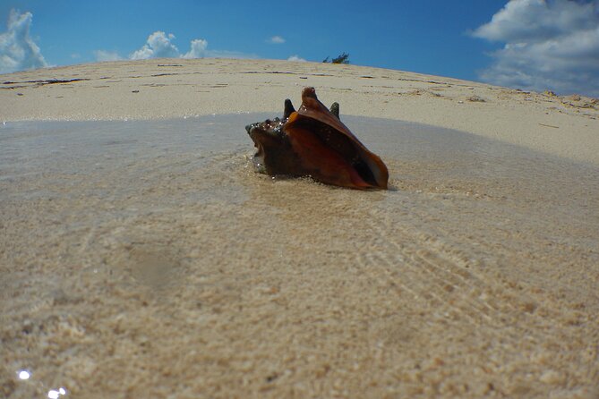 Cultural Fishing Experience in Bimini Bahamas - About Your Stay