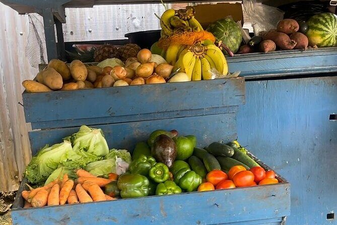 Cultural Food Tour & Seven Mile Beach At Negrils Margaritaville - The Sum Up