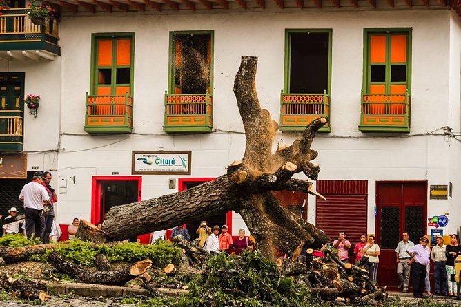 Cultural Garden Town + Coffee Farm Experiences Day Tour - Exploring the Coffee Farm