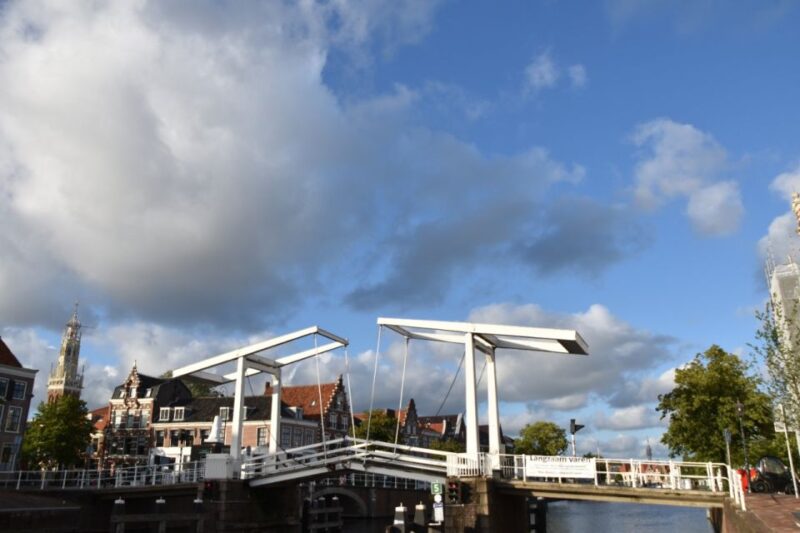 Cultural & Historical Audio Selfguided Walk Tour of Haarlem - Key Sights