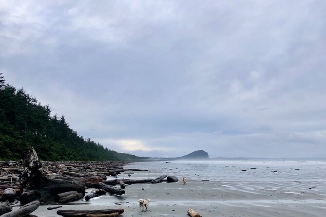 Cultural Immersion & Holistic Wellbeing on Haida Gwaii - Booking and Cancellation Policy