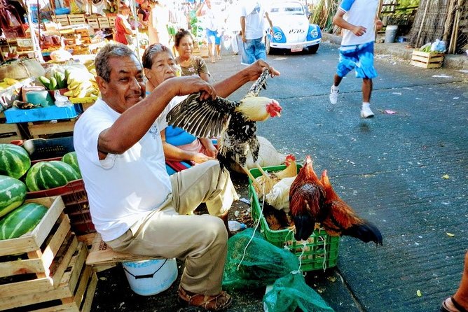 Cultural Palma Sola Petroglyphs City Market Experience With Lunch - Savor Delectable Lunch Experience