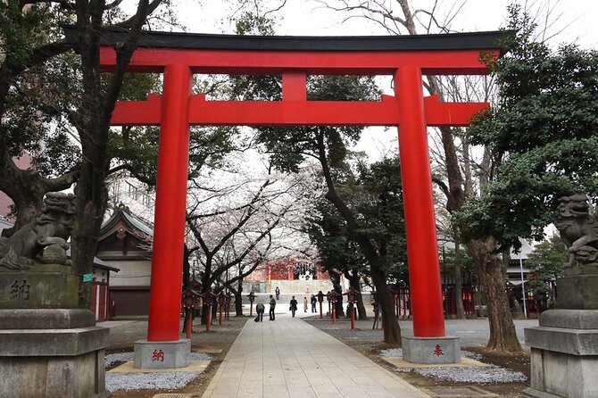 Cultural Private Walking Tour of Shinjuku From Shinjuku - Accessibility and Recommendations