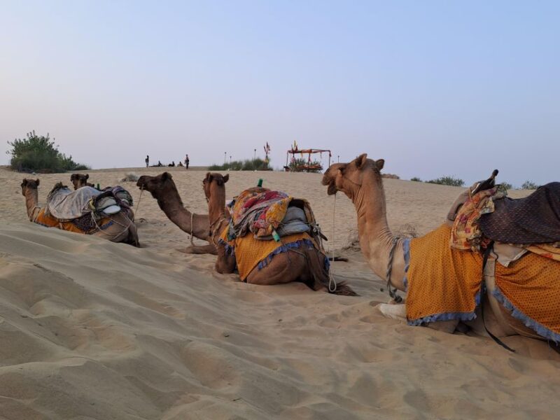 Cultural Show & Evening Entertainment in the Luxury Resort - Experience Details