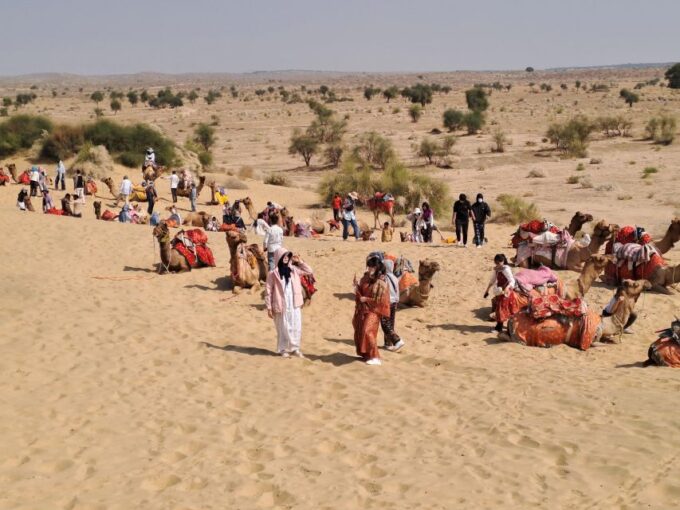 Cultural Show & Evening Entertainment in the Luxury Resort - Pickup and Transfers