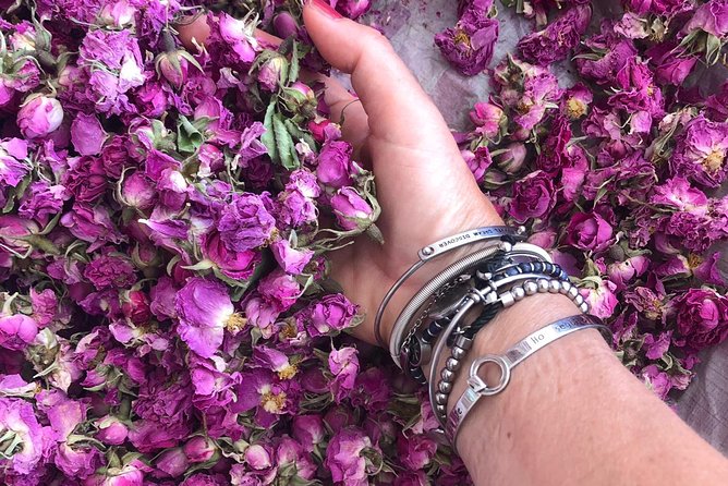 Cultural Tour in Fez - Cancellation and Accessibility
