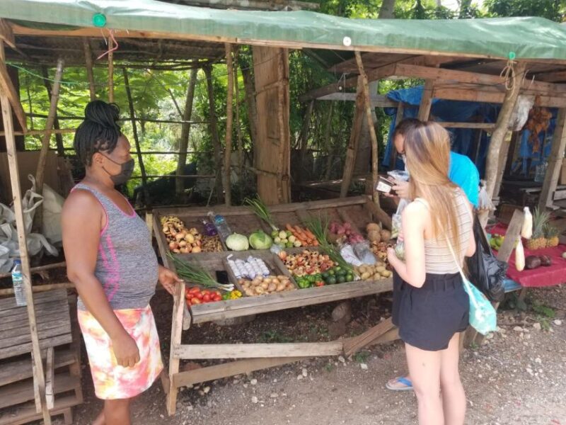 Cultural Tour of Montego Bay & Jamaica Highlight and Shop. - Booking and Availability