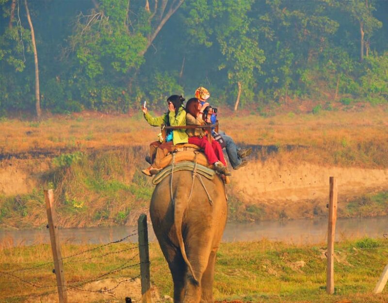 Cultural Tour With Chitwan Jungle Safari - Pricing and Booking