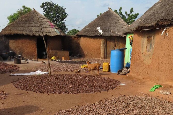 Cultural Village Tour: Traditional Naming Ceremony - Key Points