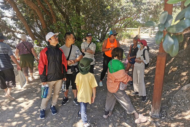 Cultural Walk of Mauao - Cultural Significance of Mauao